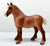 Vaulting Draft Horse, Chestnut