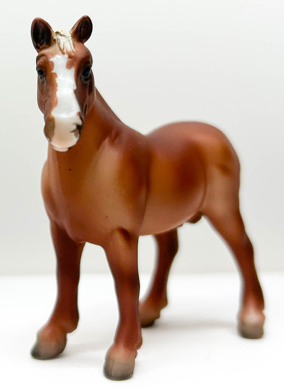 Vaulting Draft Horse, Chestnut