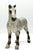 Vaulting Draft Horse, Dapple Grey