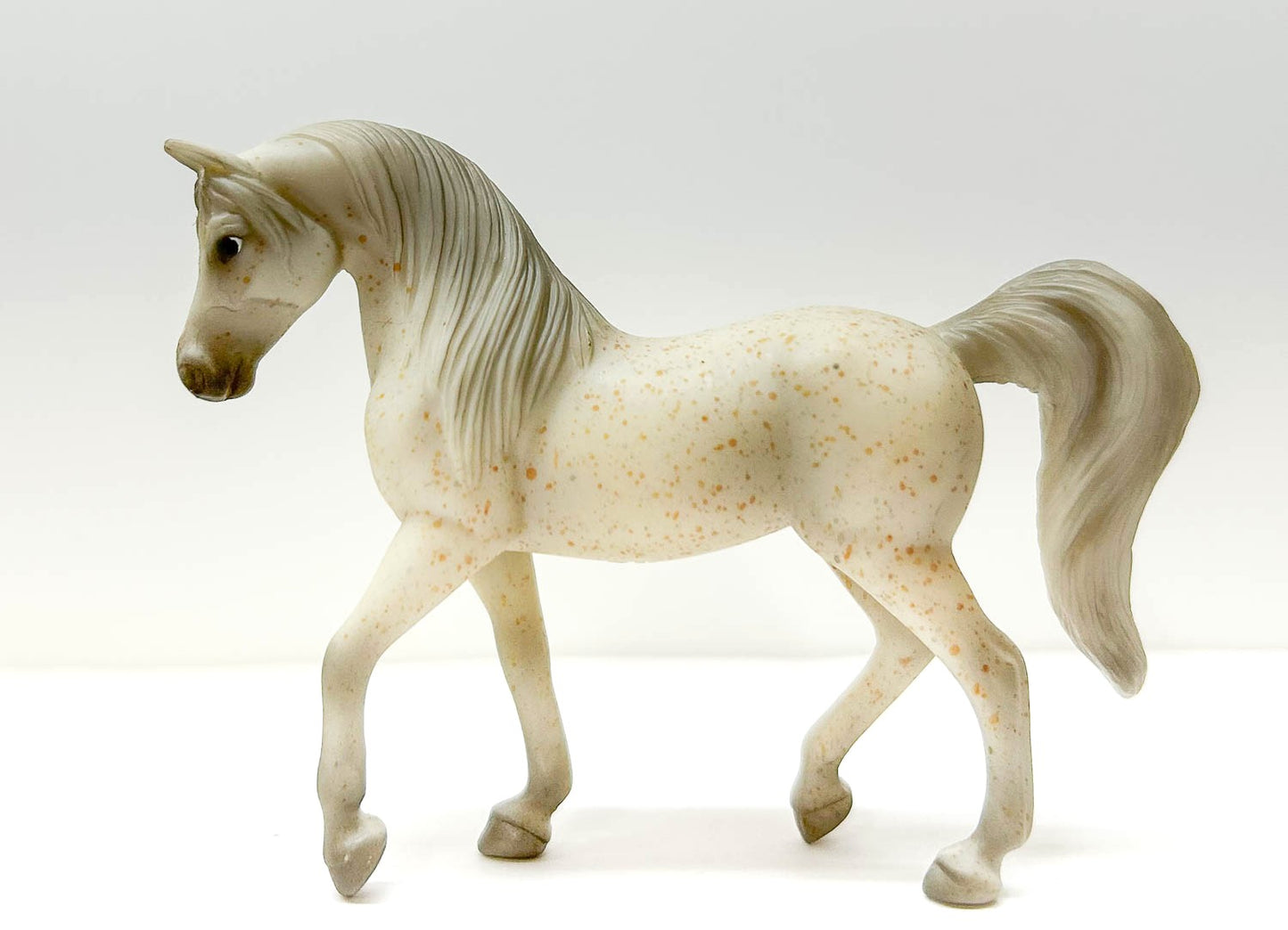 Walking Arabian, Fleabitten Grey - JC Penney SR