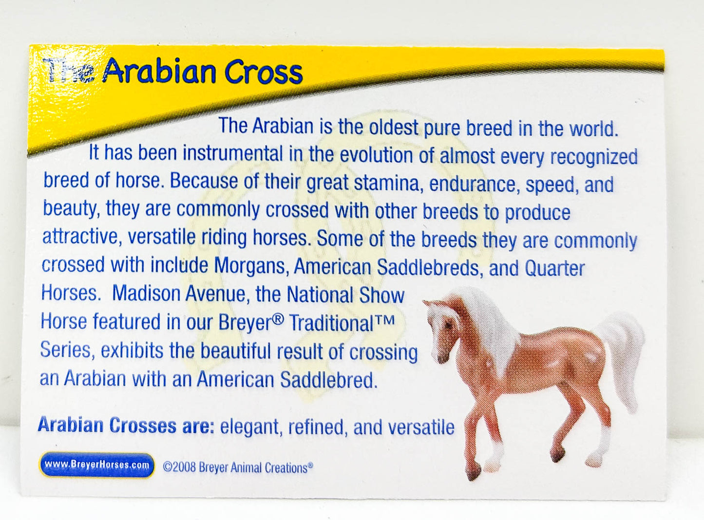 Walking Arabian~ Arabian Cross, Palomino - Target SR