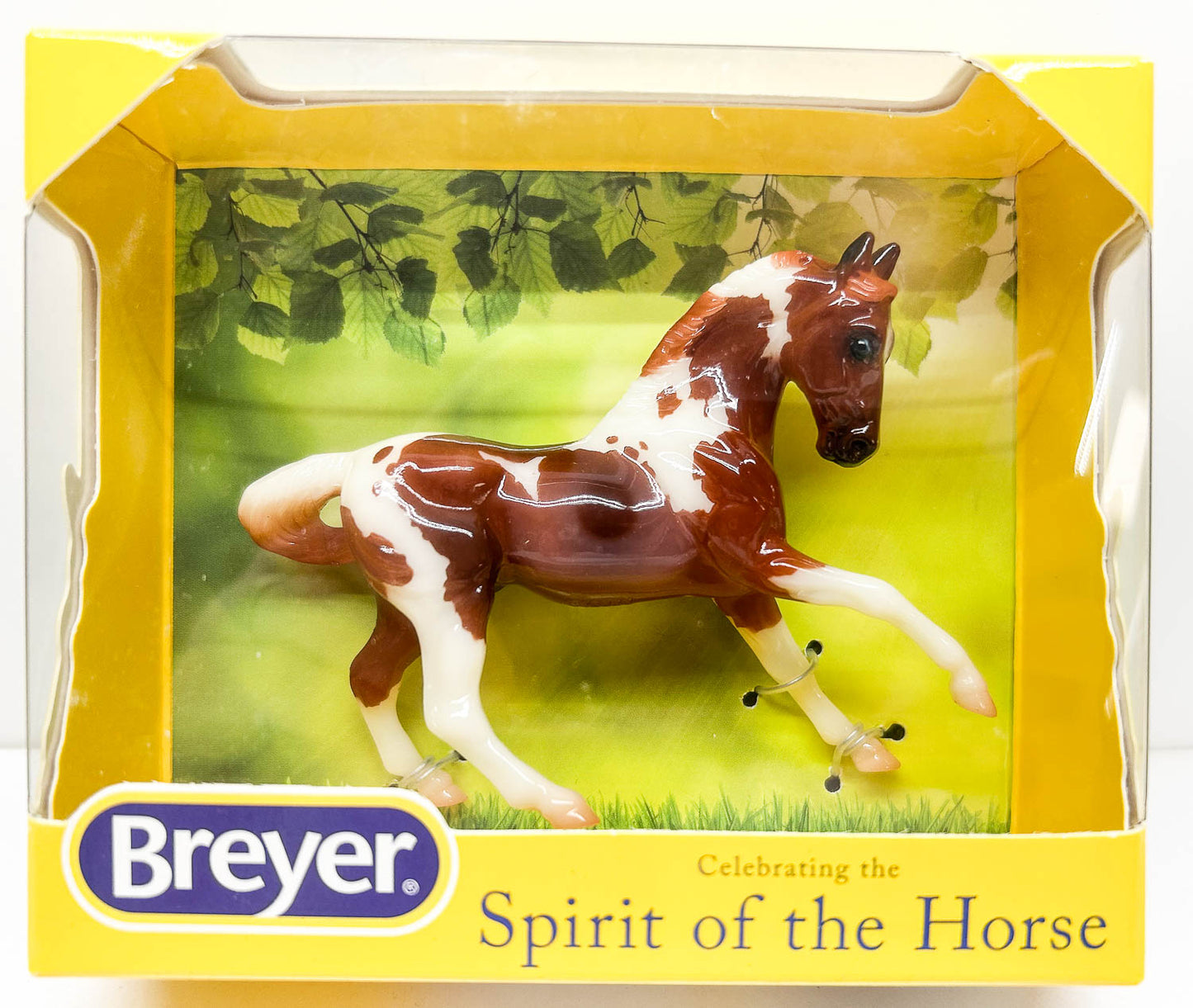 Warmblood ~ Florian - 2020 SM Club