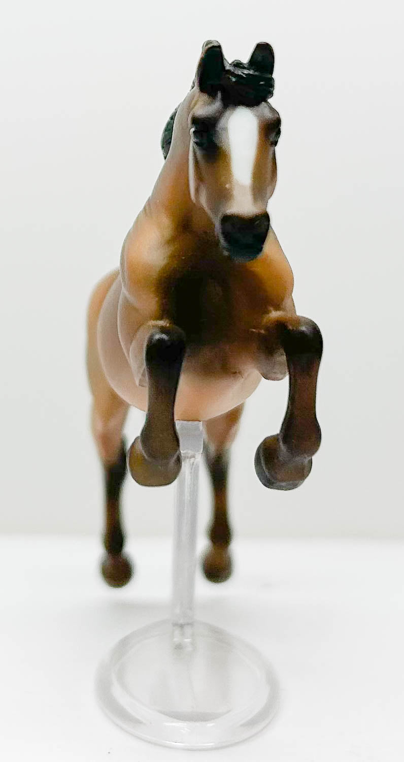 Warmblood Jumper, Cocoa Bay - Kmart SR
