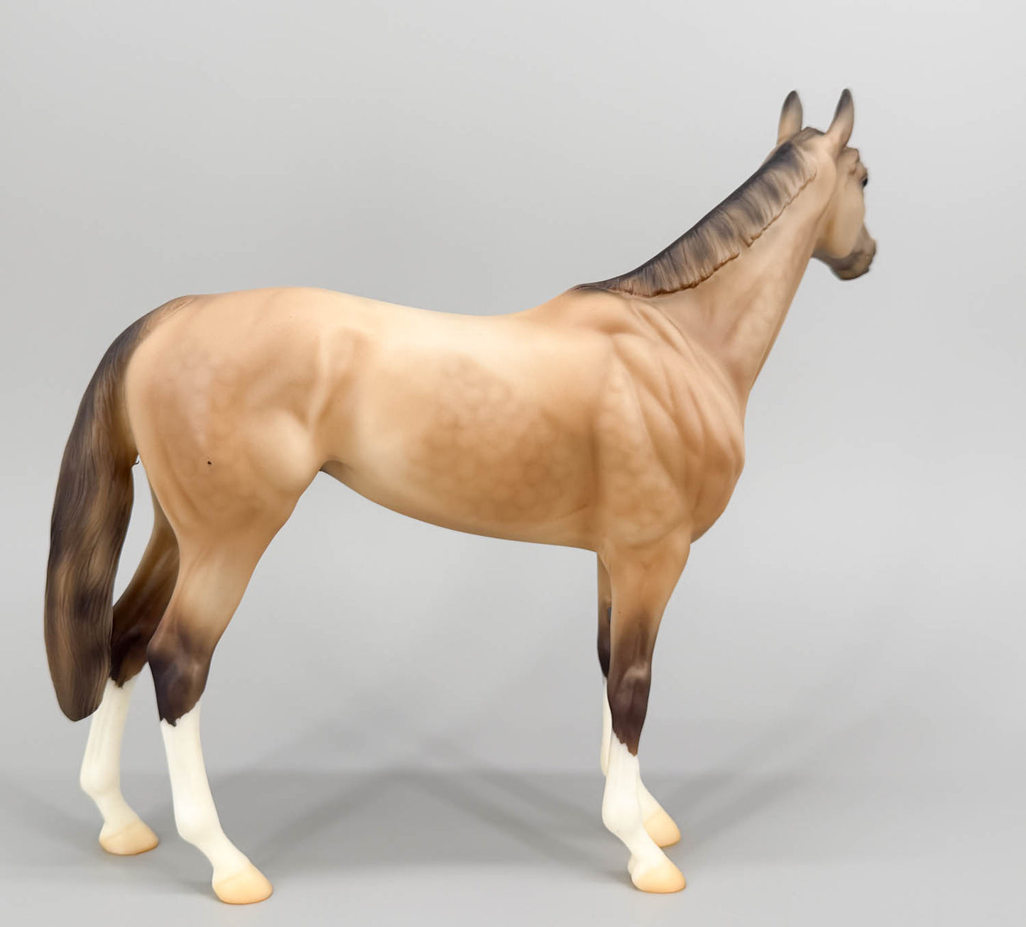 Standing Thoroughbred ~ Rocket - BreyerFest 2019 SR