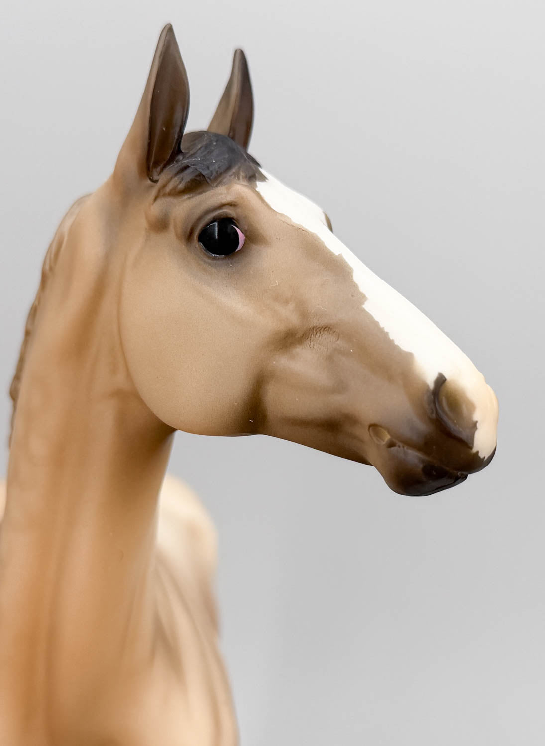 Standing Thoroughbred ~ Rocket - BreyerFest 2019 SR