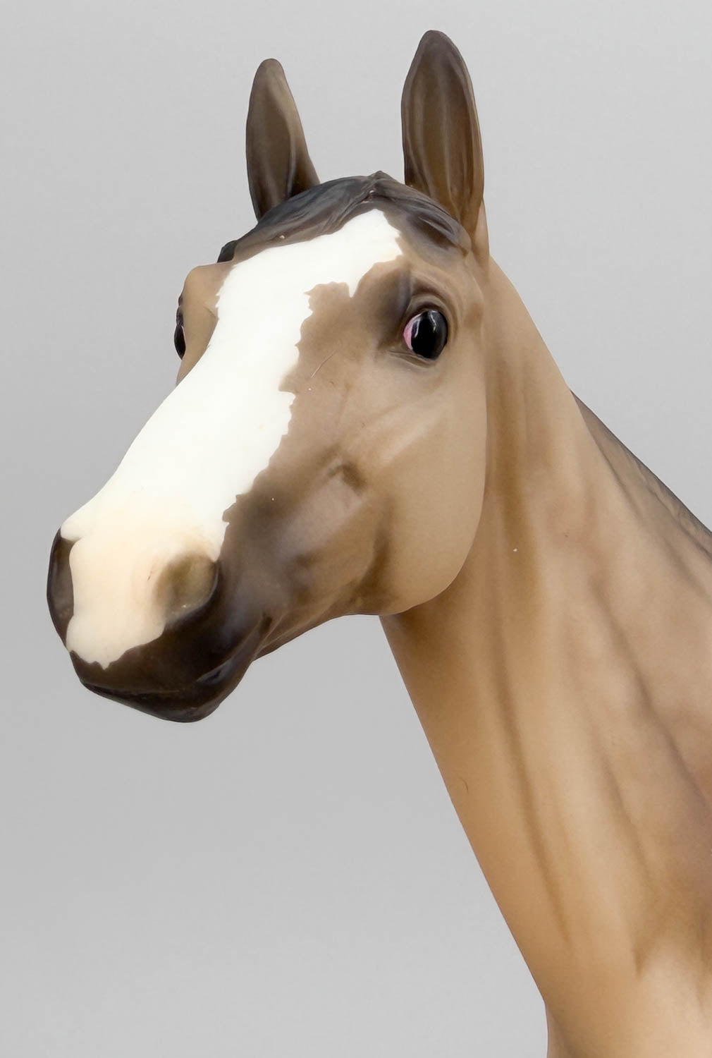 Standing Thoroughbred ~ Rocket - BreyerFest 2019 SR