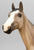Standing Thoroughbred ~ Rocket - BreyerFest 2019 SR
