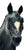 Stock Horse Mare, Black Appaloosa (restoration prospect)