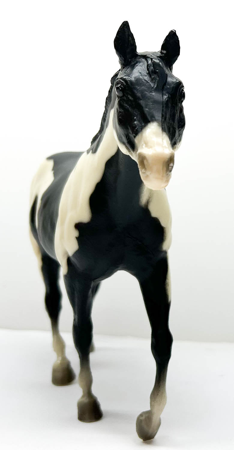 Stock Horse Mare, Black Pinto - JC Penney SR