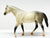 Stock Horse Mare, Dapple Grey