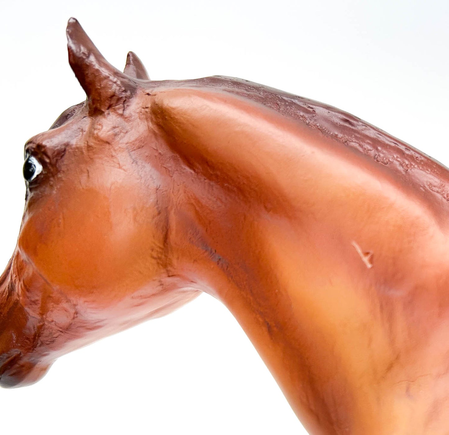 Stock Horse Mare ~ Templeton Thompson's Jane - TSC SR