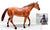 Stock Horse Mare ~ Templeton Thompson's Jane - TSC SR w/ CD