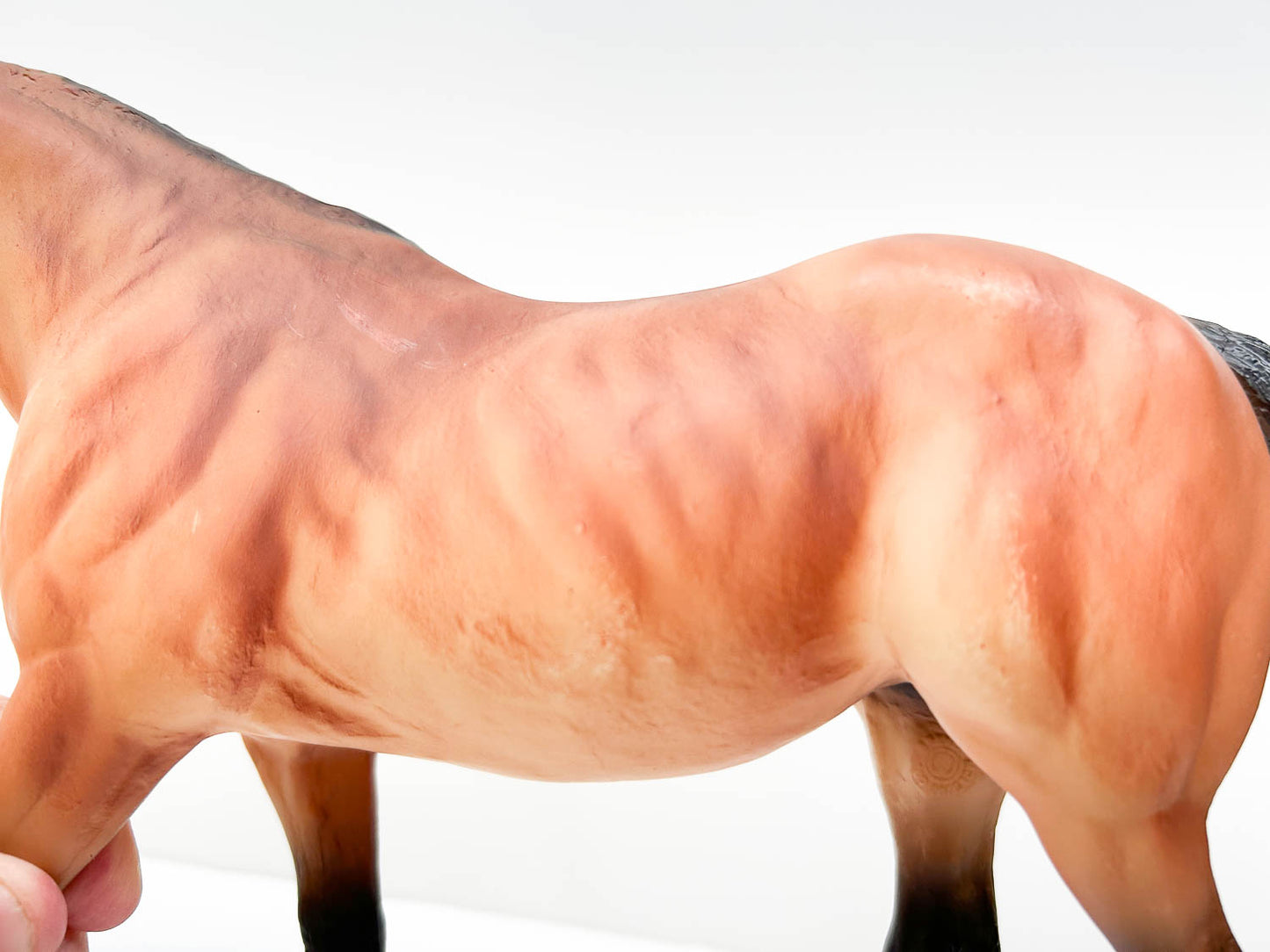 Stock Horse Mare, Light Bay - JCP SR