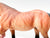 Stock Horse Mare, Light Bay - JCP SR