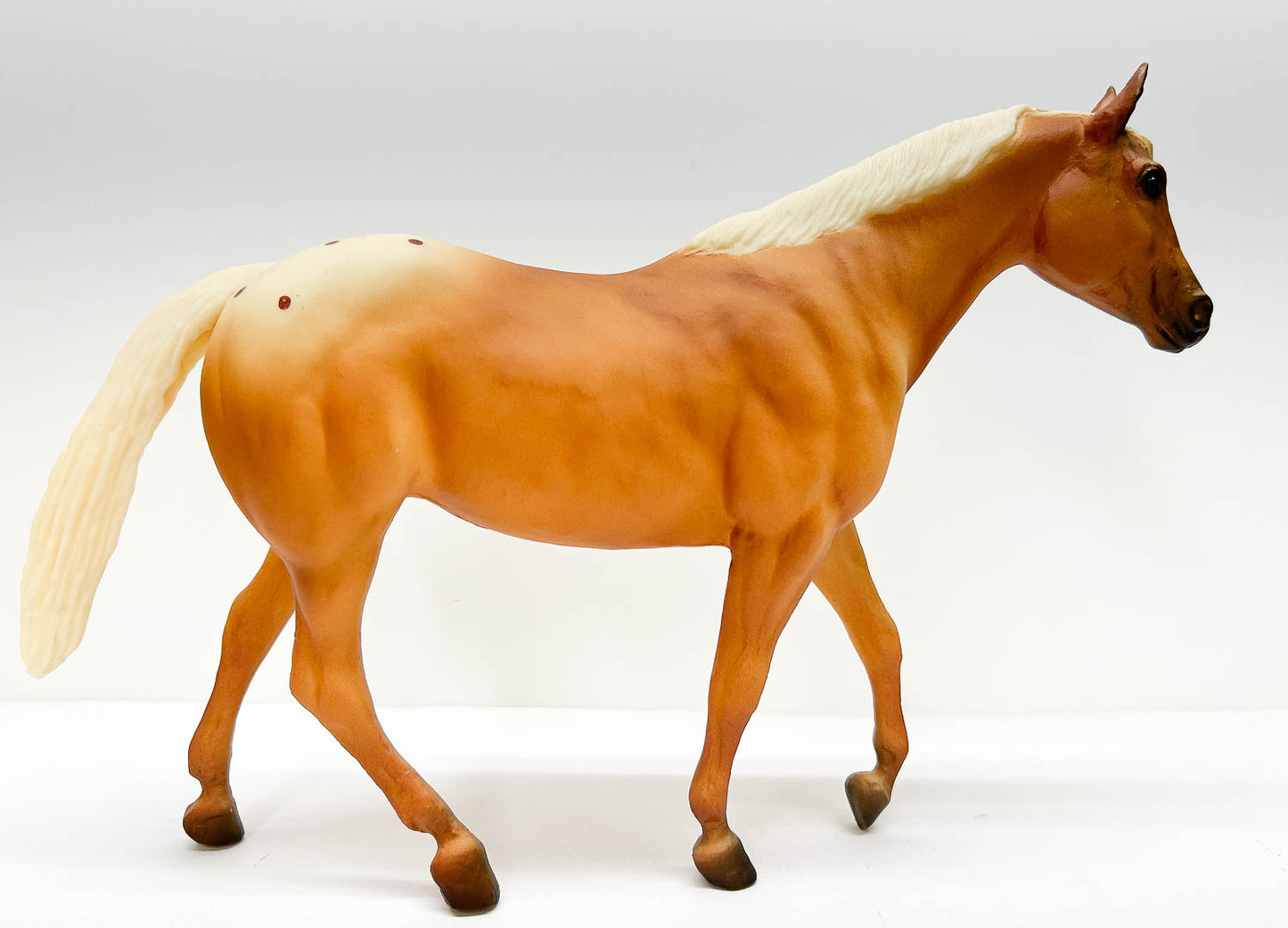 Stock Horse Mare, Palomino Appaloosa - Sears SR
