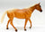 Stock Horse Mare, Palomino Appaloosa - Sears SR