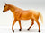 Stock Horse Mare, Palomino Appaloosa - Sears SR