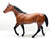 Stock Horse Stallion, Bay