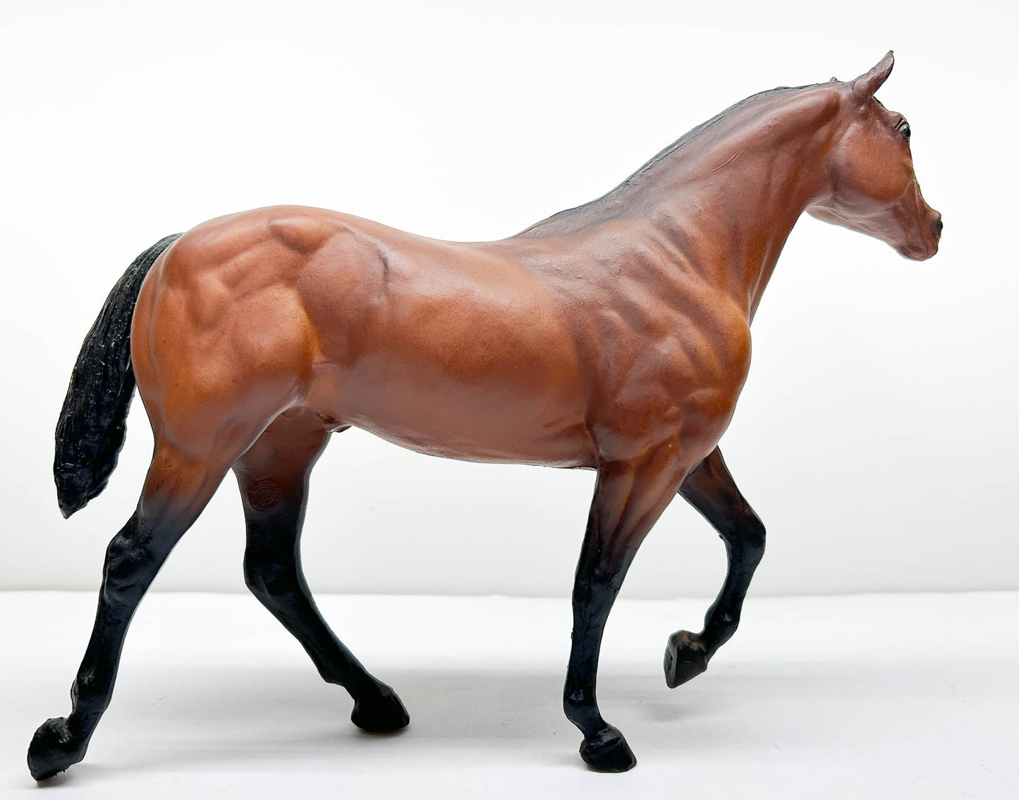 Stock Horse Stallion, Bay