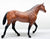 Stock Horse Stallion, Bay