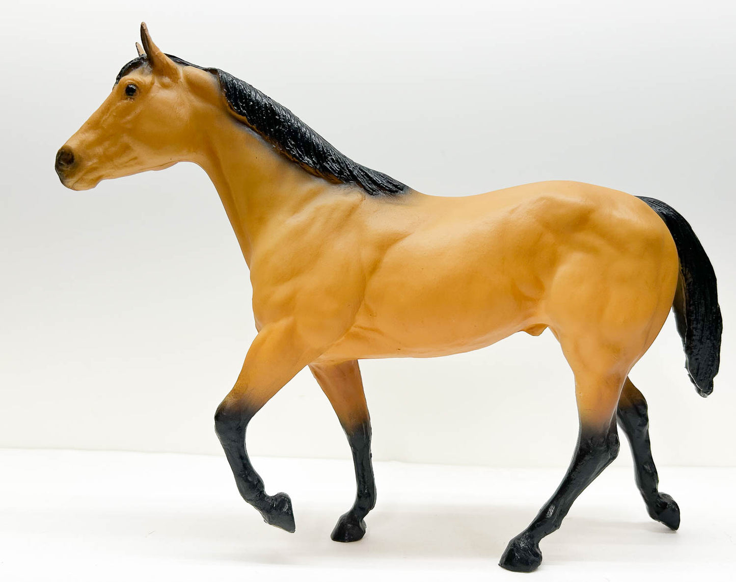 Stock Horse Stallion, Buckskin - Warehouse Find