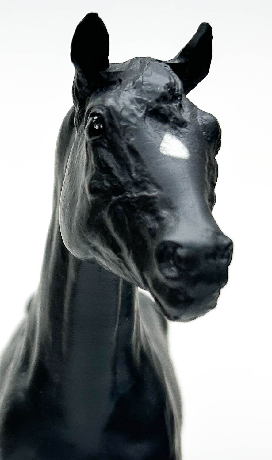 Stock Horse Stallion ~ Doc's Keepin' Time - Black-Eyed Version
