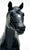 Stock Horse Stallion ~ Doc's Keepin' Time - Black-Eyed Version