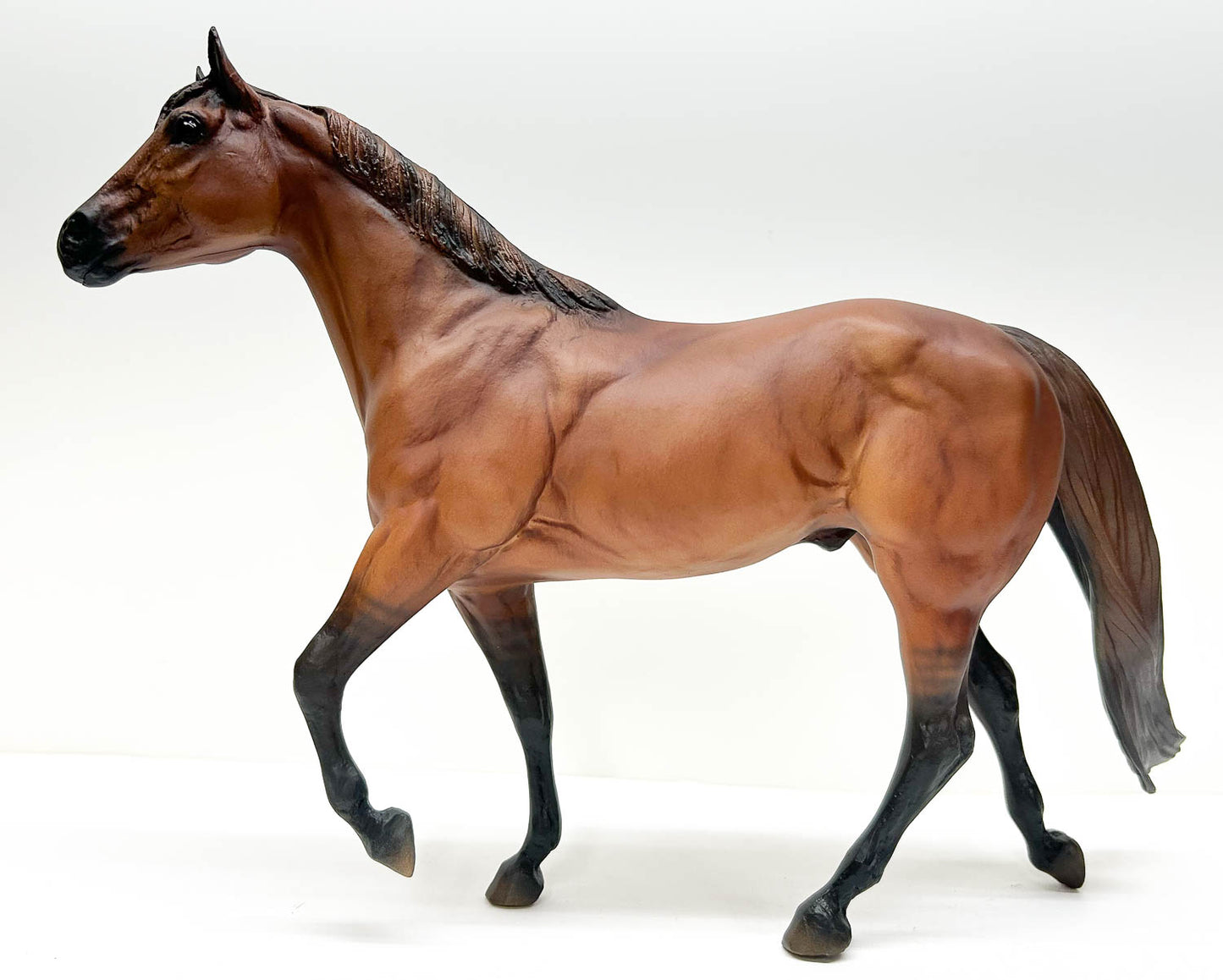 Stock Horse Stallion ~ Guy McLean's Nugget