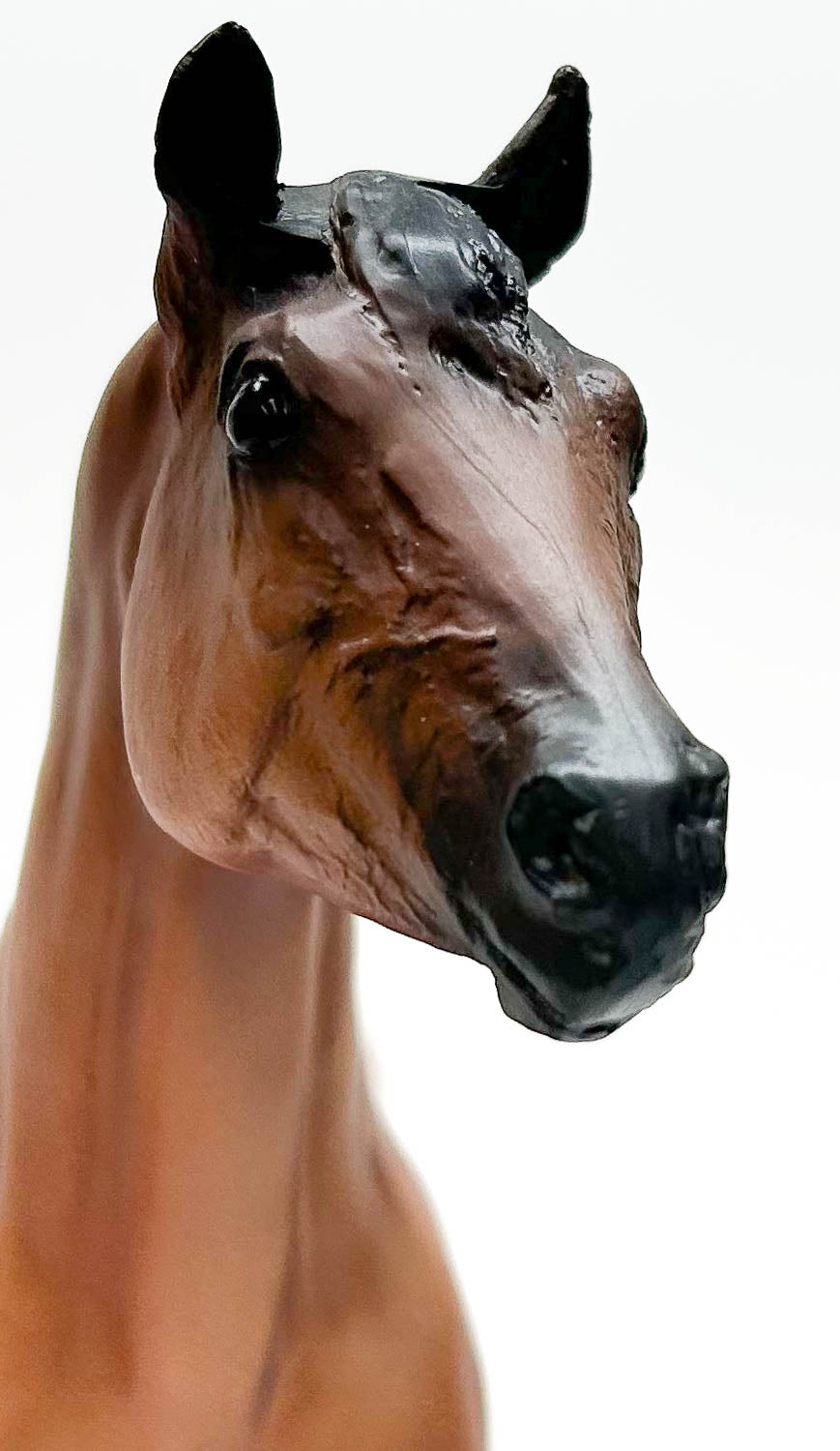 Stock Horse Stallion ~ Guy McLean's Nugget