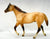 Stock Horse Stallion ~ Kiwi, Australian Horse and Saddle Set