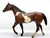 Stock Horse Stallion, Liver Chestnut Pinto