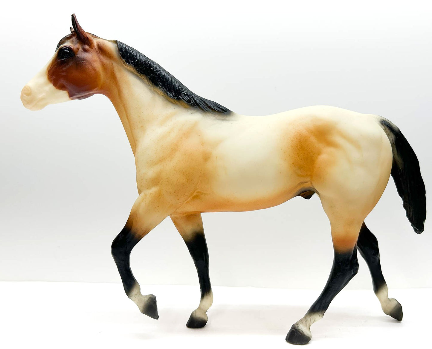 Stock Horse Stallion ~ Rebel, American Quarter Horse