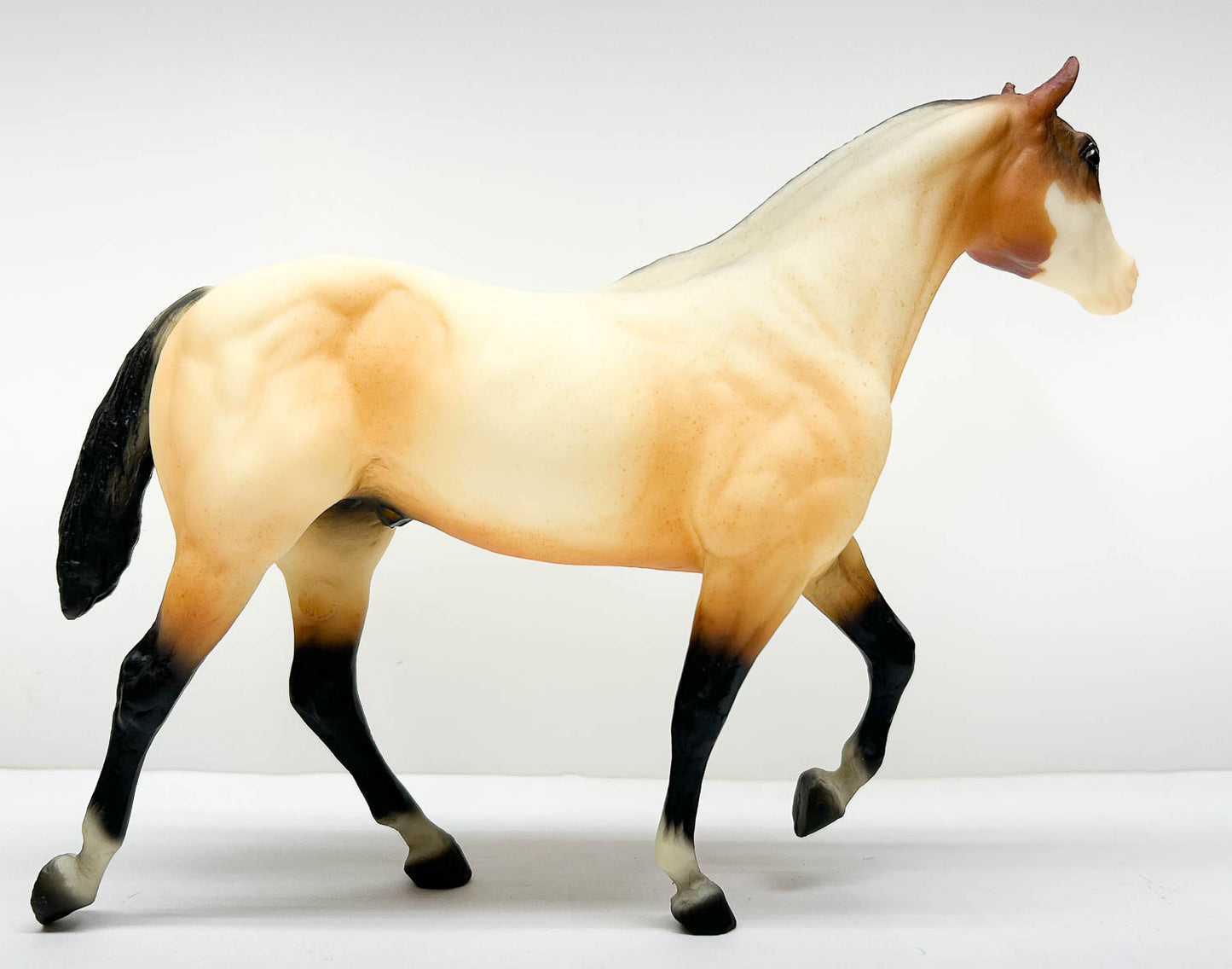 Stock Horse Stallion ~ Rebel, American Quarter Horse