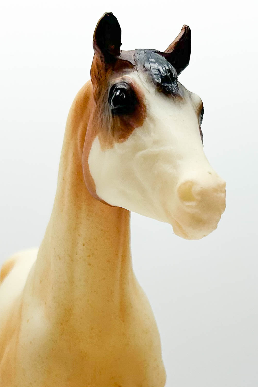 Stock Horse Stallion ~ Rebel, American Quarter Horse