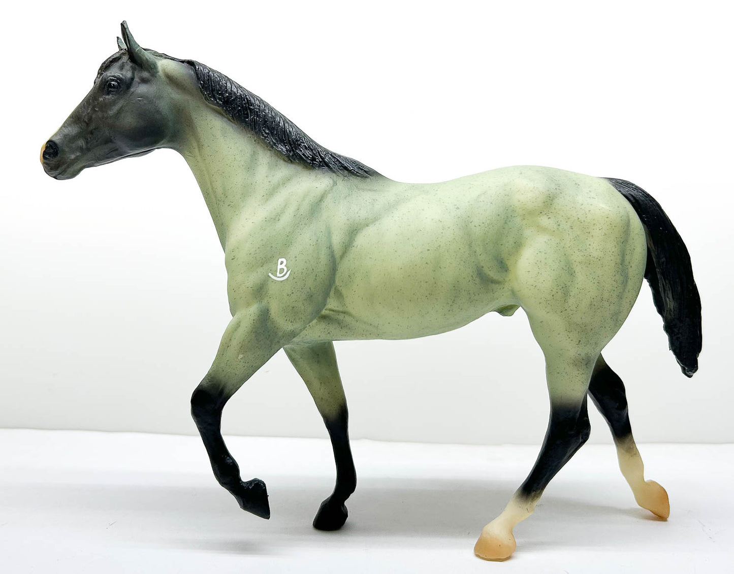 Stock Horse Stallion ~ Shane, American Ranch Horse