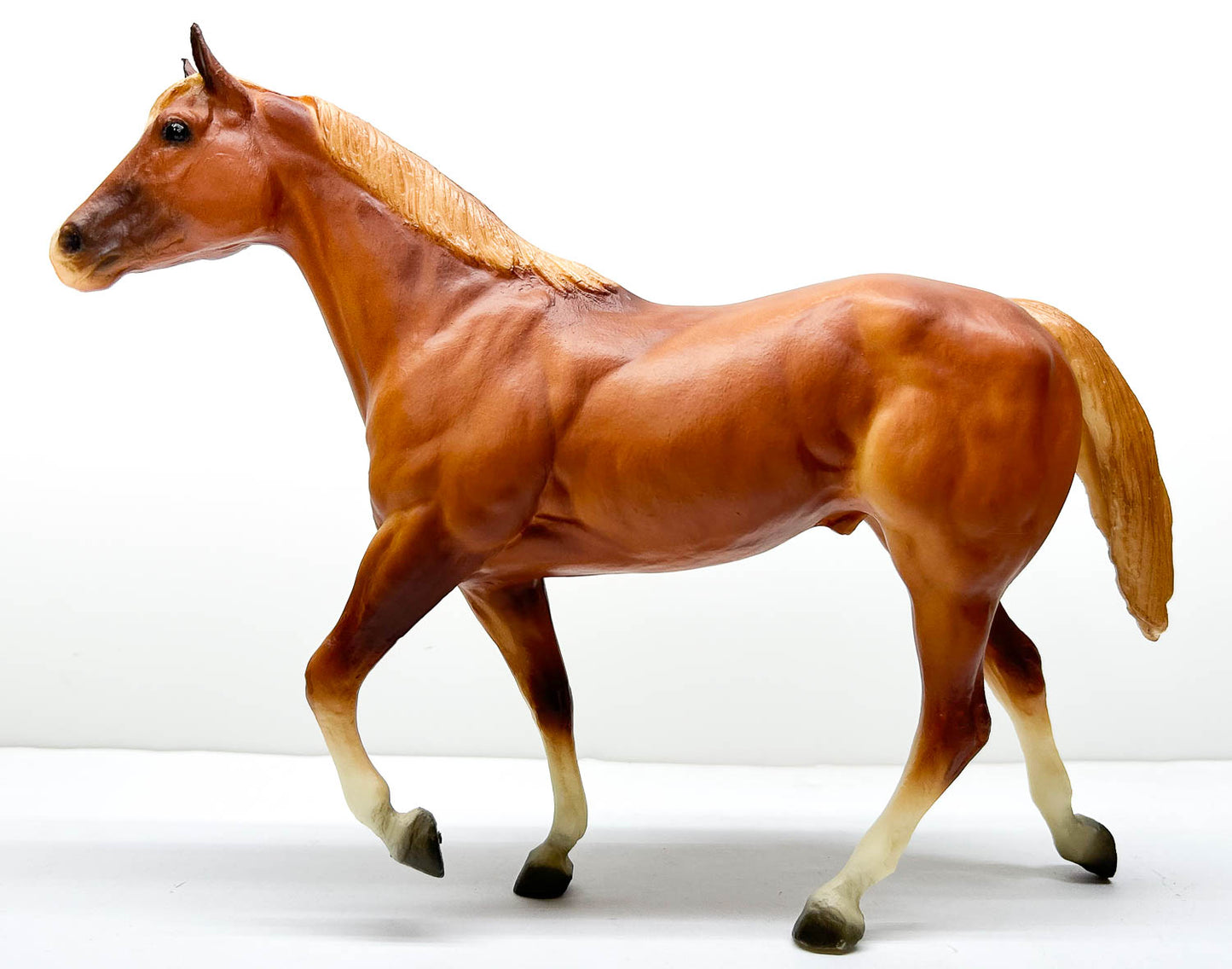 Stock Horse Stallion ~ Skipster's Chief