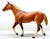 Stock Horse Stallion ~ Skipster's Chief