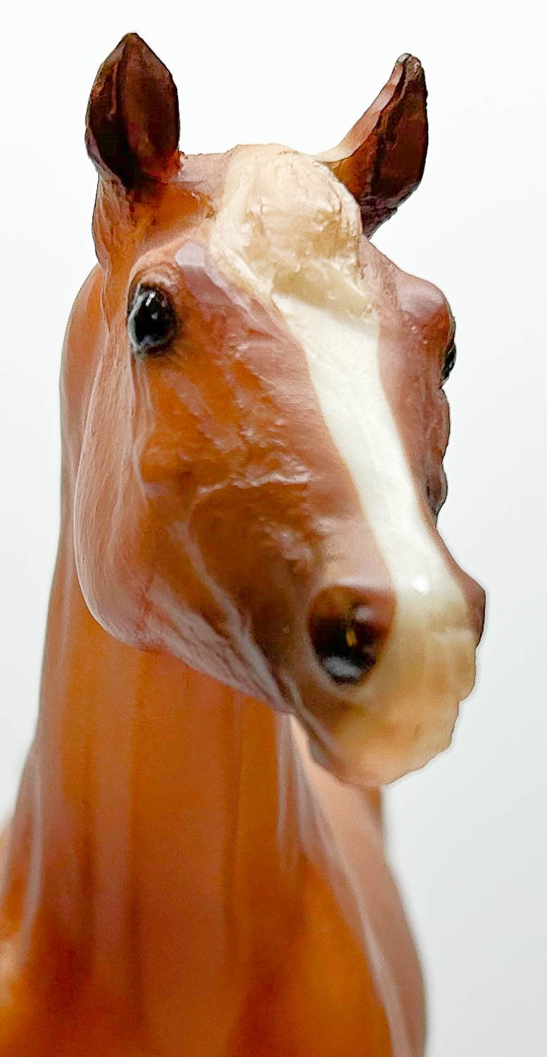 Stock Horse Stallion ~ Skipster's Chief