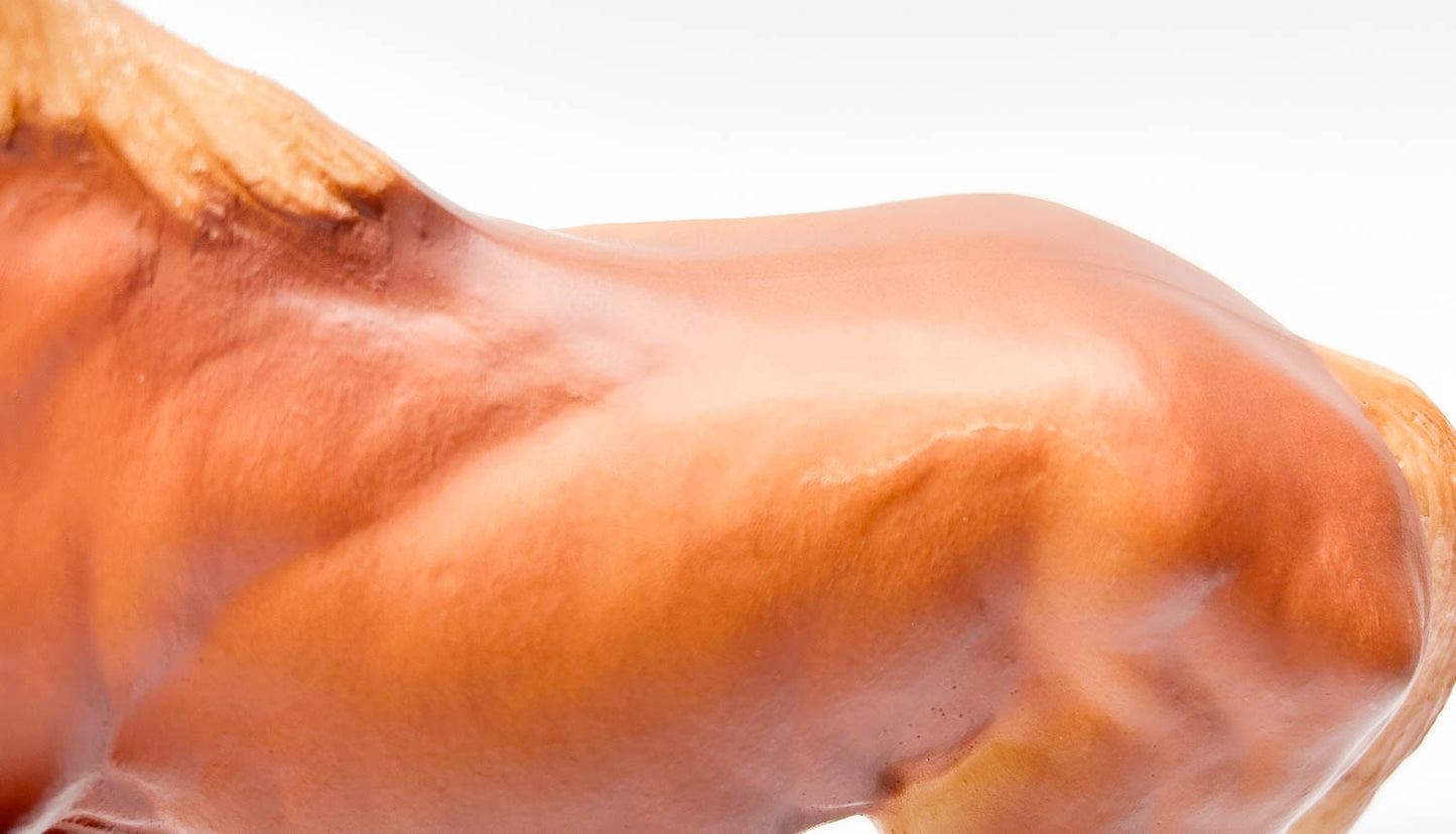 Stock Horse Stallion ~ Skipster's Chief