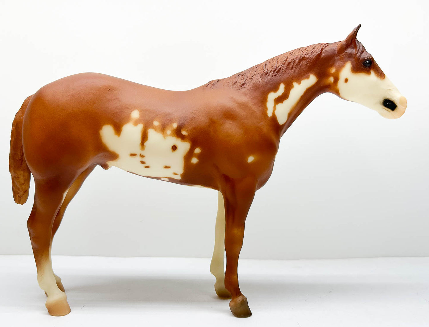 Stud Spider ~ Mister Mister