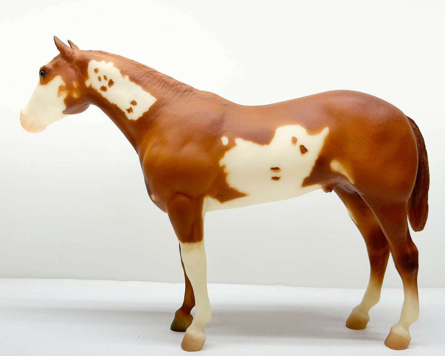 Stud Spider ~ Mister Mister