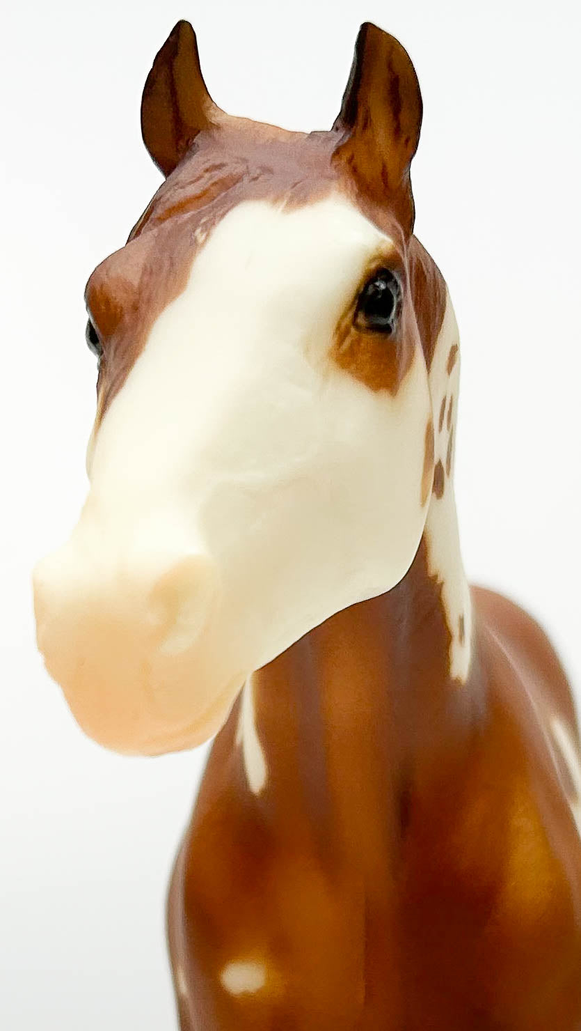 Stud Spider ~ Mister Mister