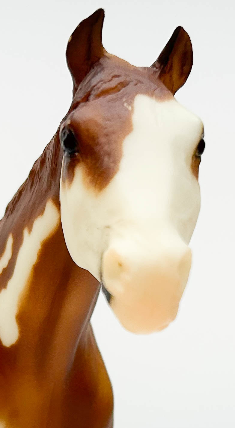 Stud Spider ~ Mister Mister