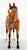 Thoroughbred Mare and Nursing Foal ~ Cupid and Arrow