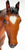 Thoroughbred Mare and Nursing Foal ~ Cupid and Arrow