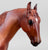 Thoroughbred Mare and Nursing Foal ~ Eve & Claus - 2015 Web Special