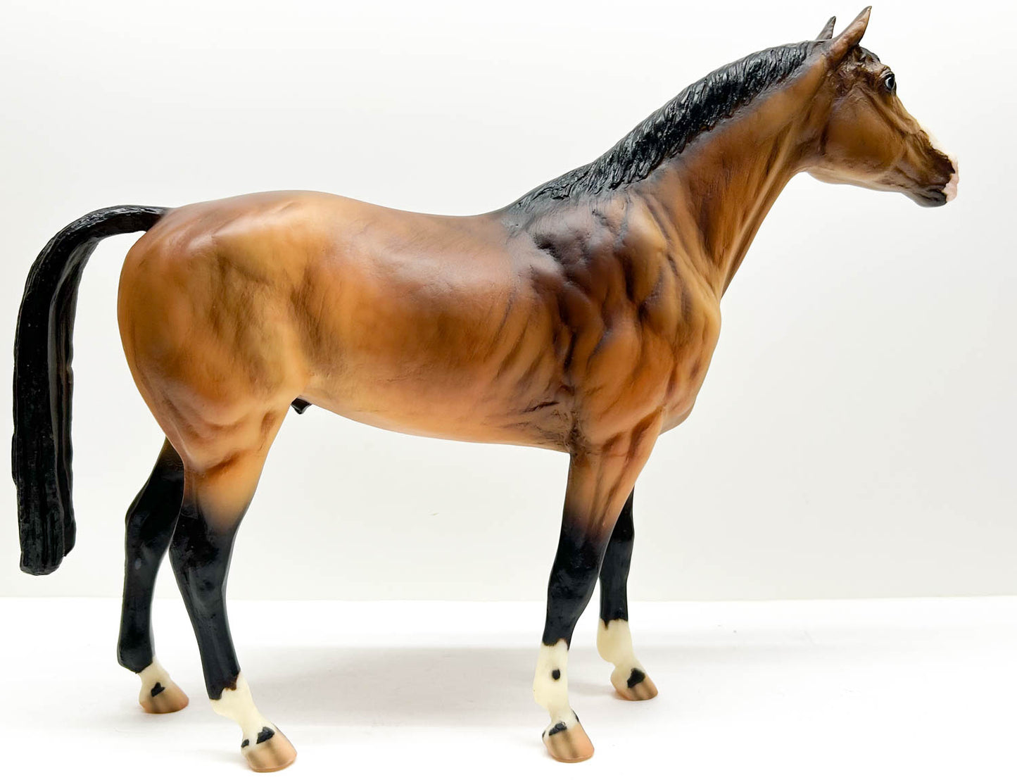 Trakehner ~ Passport To Model Horse Collecting