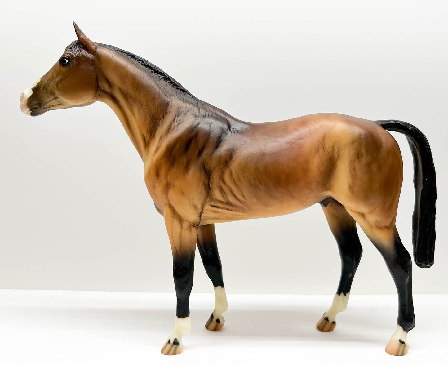 Trakehner ~ Passport To Model Horse Collecting