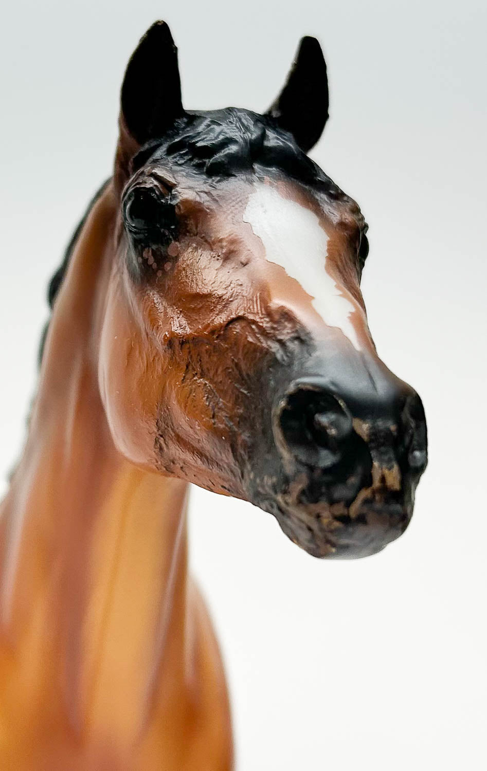 Trakehner ~ Thorn - Matte - Breyerfest SR