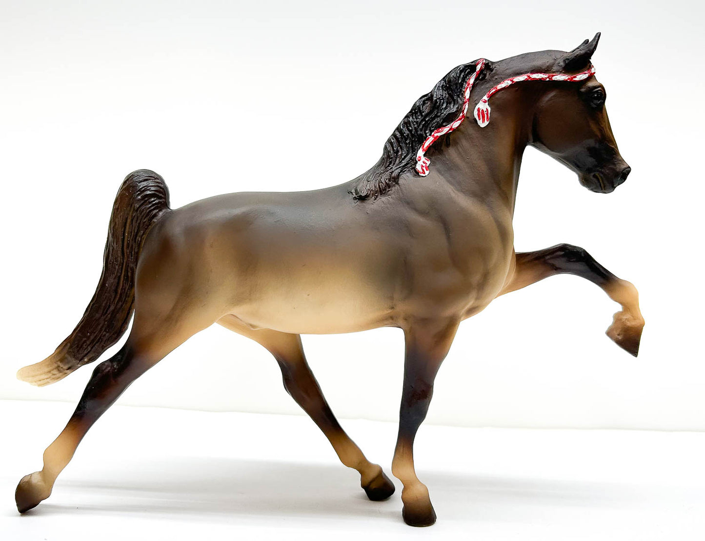 Tennessee Walking Horse, Brown Pangare - JCP SR